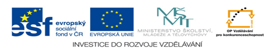obr�zek 